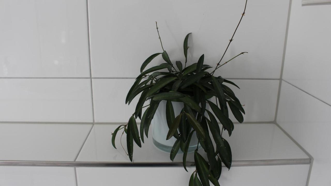 Apartment Maria